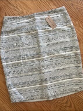 Ann Taylor Cream and Gray Textured Stripe Pencil Skirt